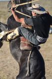 20120212-AJS_6169.jpg